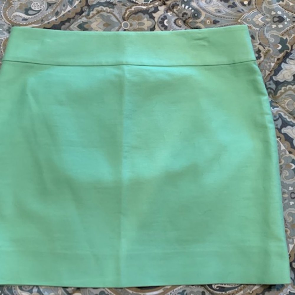 J Crew Mini Skirt- Perfect Condition